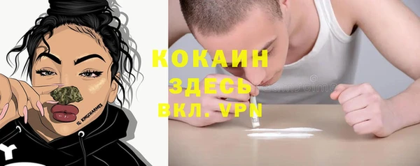стаф Мегион