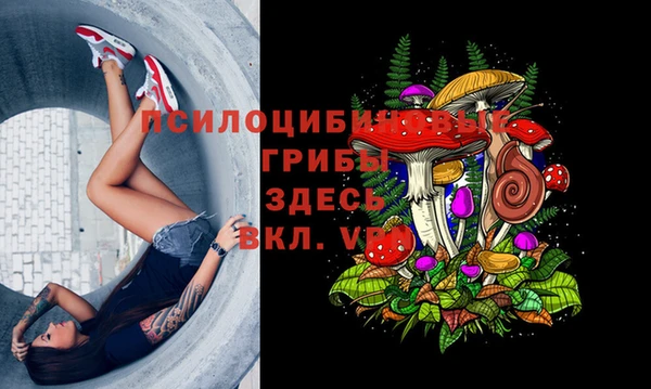 марихуана Медвежьегорск