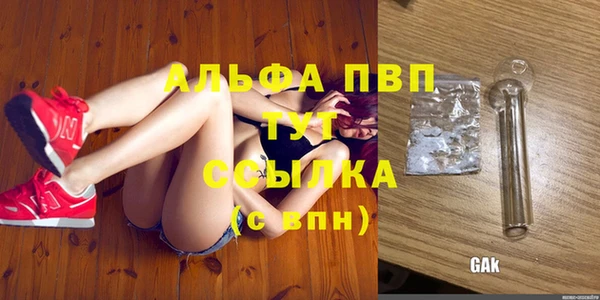 крисы Медногорск