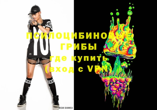крисы Медногорск