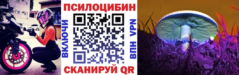 Галлюциногенные грибы MAGIC MUSHROOMS  Олонец 